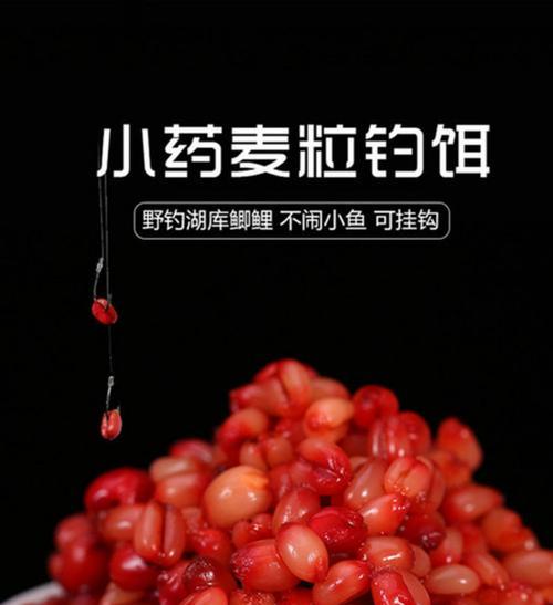 麦子野钓的技巧与方法（掌握麦子野钓）  第3张