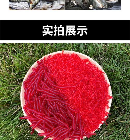 利用蛆红虫钓鱼技巧（掌握正确的蛆红虫使用方法与技巧）  第1张