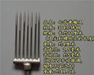 掌握鱼叉捕鱼的技巧（钓鱼高手教你如何用鱼叉捕鱼）  第2张