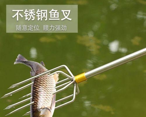 掌握鱼叉捕鱼的技巧（钓鱼高手教你如何用鱼叉捕鱼）  第3张
