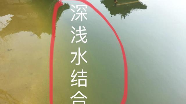 闸口下杆钓鱼技巧（提高钓鱼成功率的实用技巧）  第3张