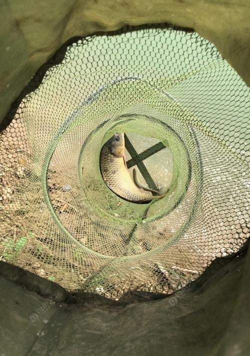 钓鱼技巧（掌握长方形深坑钓鱼的窍门）  第3张