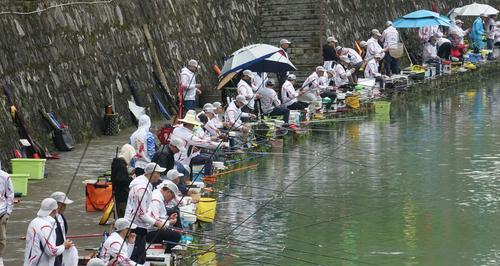 长沟塘钓鱼技巧（掌握长沟塘钓鱼技巧）  第2张