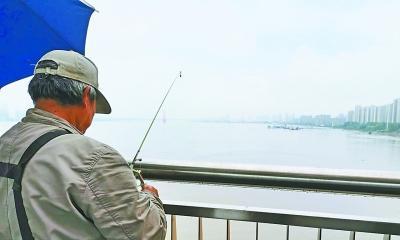 长江野外钓鱼技巧（掌握这些技巧）  第3张