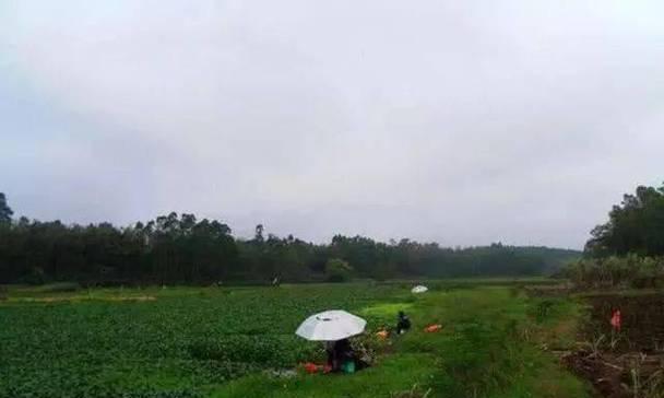 长江钓鱼技巧（探秘长江用串钩钓鱼的专业技巧与经验）  第3张