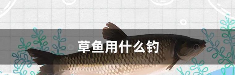 长线沉底钓鱼的技巧与方法（提升成功率）  第1张
