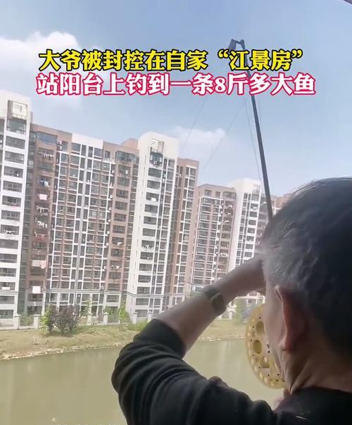 钓鱼技巧（提升成功率的关键是“细心”）  第3张