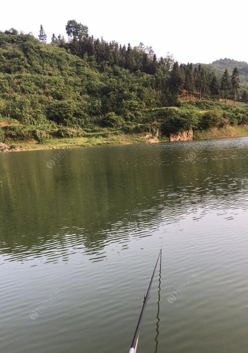 探秘涨水季节钓鱼技巧与方法（钓鱼技巧让你在涨水季节大获成功）  第3张