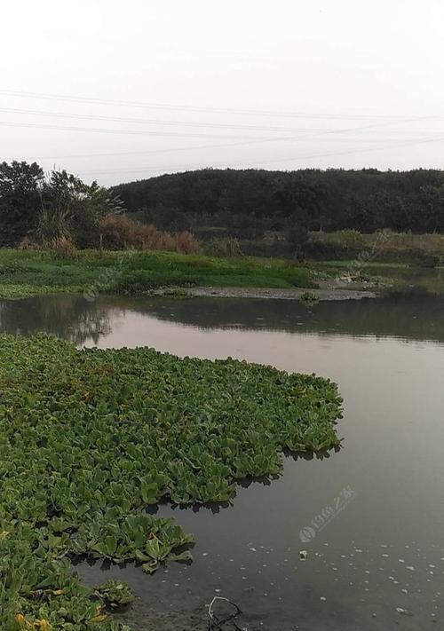涨水退水钓鱼技巧（掌握钓鱼技巧）  第2张