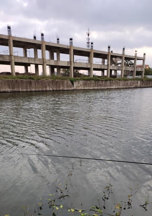 水虾退水钓鱼技巧与方法（以涨水虾退水后钓鱼的高效方式）  第2张