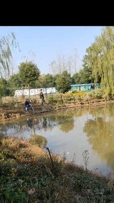 池塘钓鱼的技巧与经验（钓鱼者必知的天气关键）  第3张