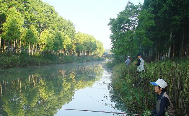 夏日垂钓小技巧，享受垂钓乐趣（五招助你在炎炎夏日捕获丰富渔获）  第3张