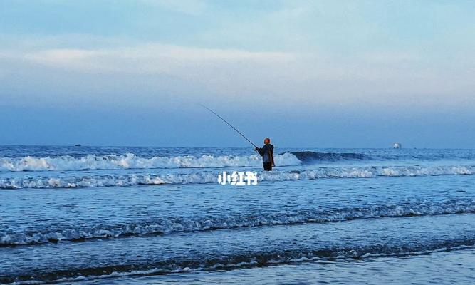 浙江海边钓鱼技巧（绝佳钓点、鱼种详解与钓法全揭秘）  第1张