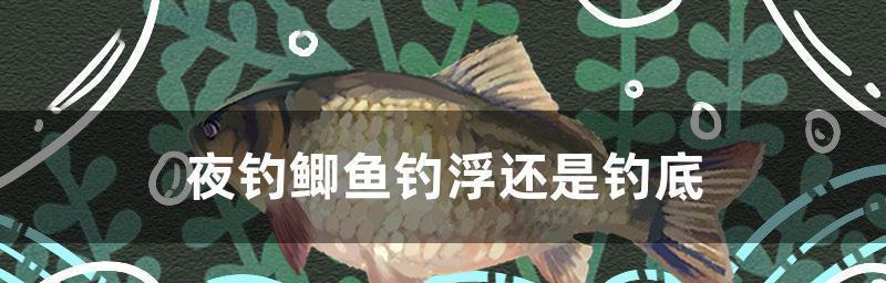 80厘米水深钓浮技巧是什么？如何提高钓浮成功率？  第3张