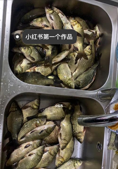 95后钓鱼技巧有哪些？如何快速掌握钓鱼技能？  第2张
