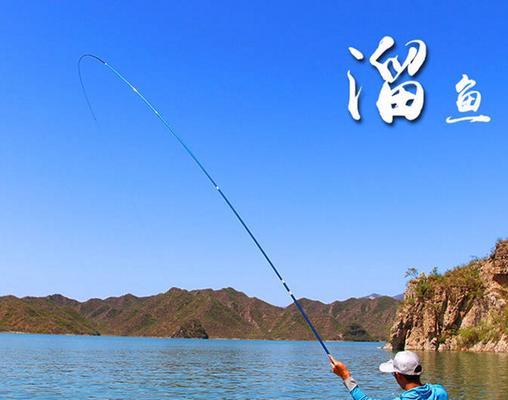 如何掌握9米台钓竿的抛鱼技巧？常见问题有哪些？  第2张