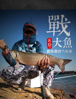 如何掌握9米台钓竿的抛鱼技巧？常见问题有哪些？  第3张
