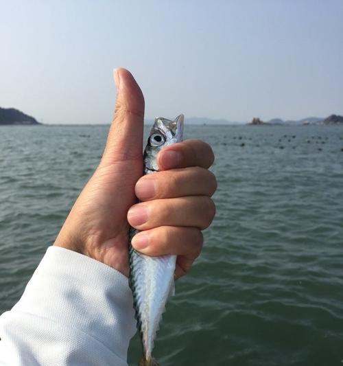 岸边钓鲅鱼时应该注意哪些事项？有哪些提高钓技的技巧？  第1张
