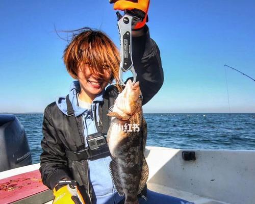 岸边海钓鱼技巧有哪些？如何提高岸边海钓的成功率？  第3张