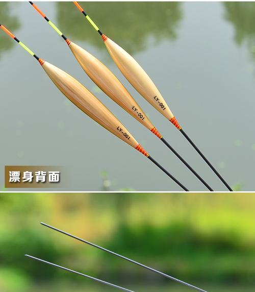 岸边芦苇杆钓鱼技巧和方法有哪些？如何提高钓鱼成功率？  第1张