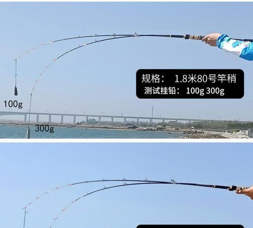 岸钓白果子海钓技巧有哪些？如何提高岸钓白果子的成功率？  第1张