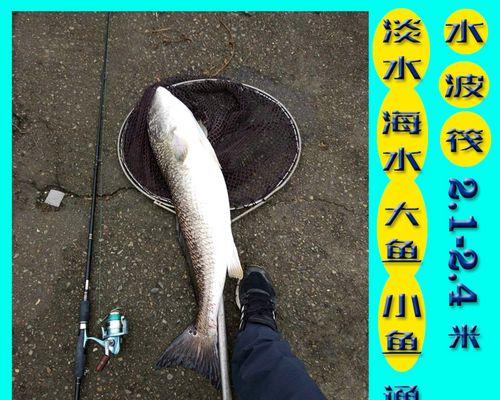 岸筏串钩钓鱼技巧有哪些？如何提高钓鱼成功率？  第2张