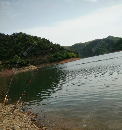 巴基斯坦人钓鱼技巧有哪些？如何提高钓鱼成功率？  第3张