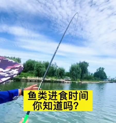 巴基斯坦人钓鱼技巧有哪些？如何提高钓鱼成功率？  第1张