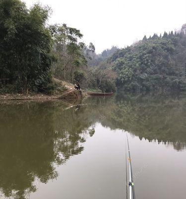 巴湾水库钓鱼技巧有哪些？如何提高钓鱼成功率？  第3张