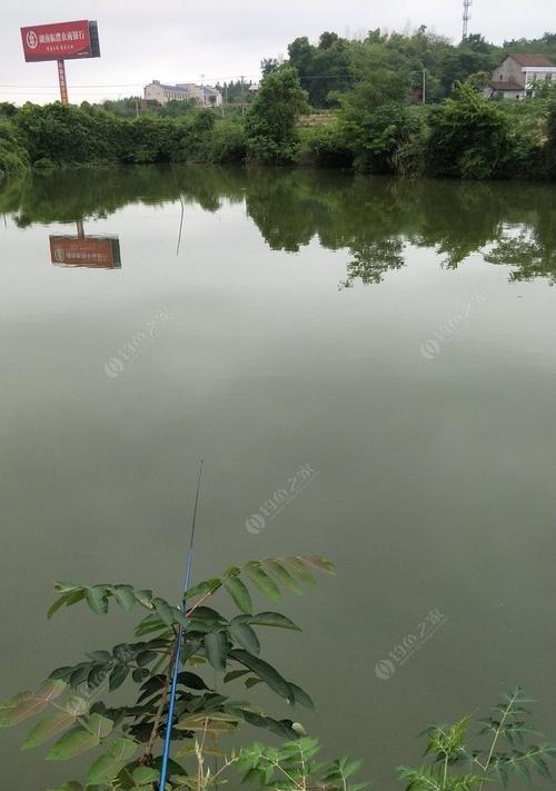 跋山涉水钓鱼技巧教学？如何在野外环境中提高钓鱼成功率？  第3张
