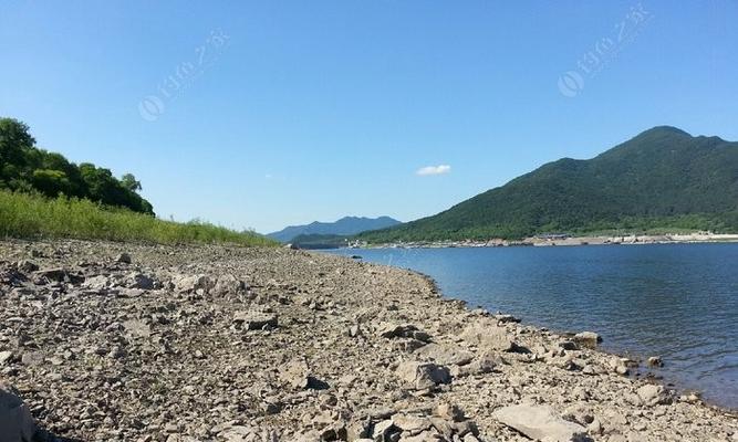 坝口上游钓鱼技巧有哪些？如何提高钓鱼成功率？  第1张