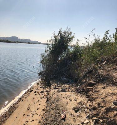 坝下河道钓鱼技巧有哪些？如何提高钓鱼成功率？  第2张