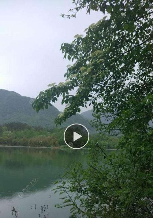 白水湖钓鱼钓位选择有哪些最新技巧？如何提高钓鱼成功率？  第1张