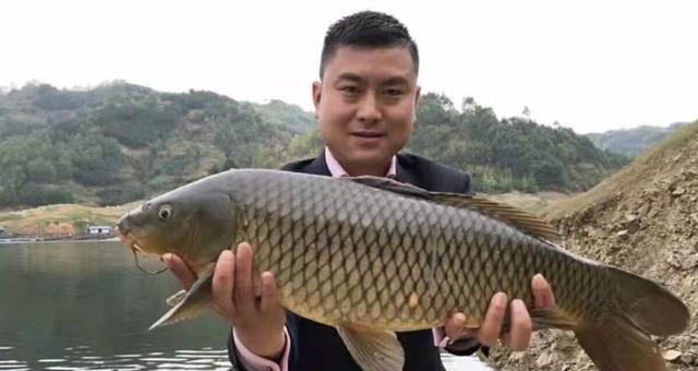 白天野钓鲤鱼技巧有哪些？如何提高白天野钓鲤鱼的成功率？  第2张