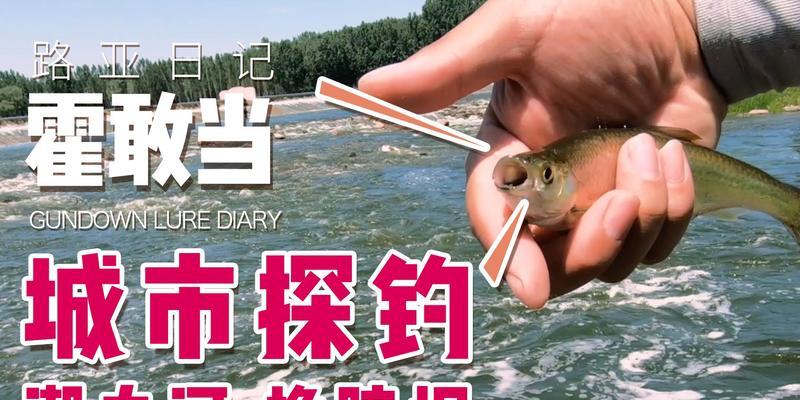 白条连竿钓鱼技巧是什么？如何提高连竿成功率？  第1张