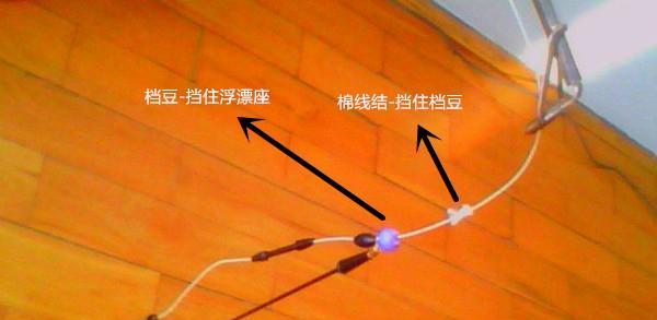百分百上钩的钓鱼技巧？如何快速掌握？  第3张
