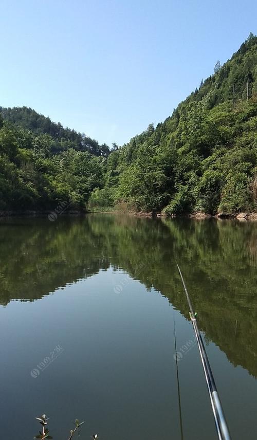 百色水库钓鱼技巧和方法有哪些？如何提高钓鱼成功率？  第3张