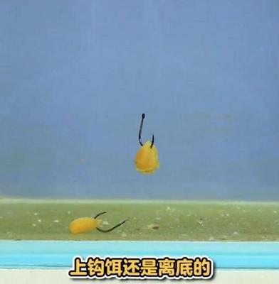 半水平水钓鱼技巧有哪些？如何提高钓鱼效率？  第3张