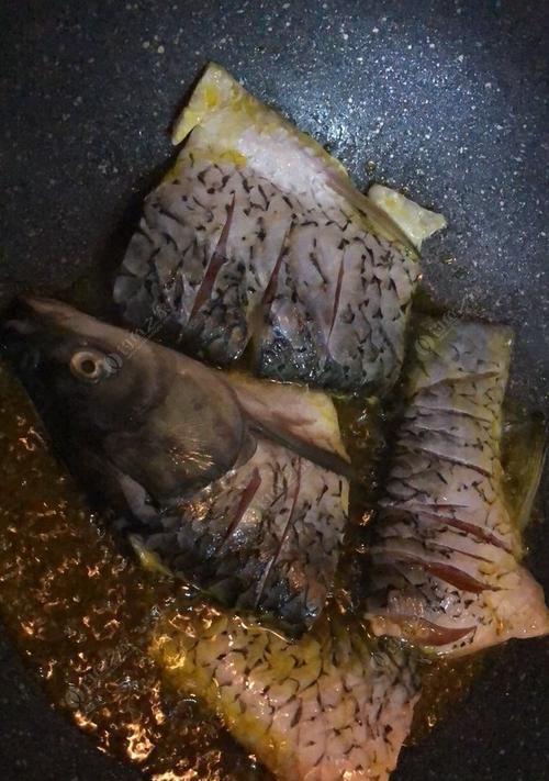 半夜打窝野钓技巧有哪些？如何提高夜钓成功率？  第1张