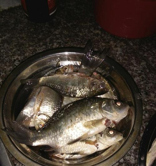 傍晚湖里钓鱼技巧是什么？如何提高钓获率？  第1张