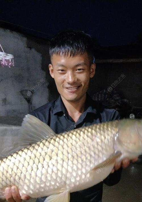北方5月份野钓大草鱼技巧与方法？如何提高钓获率？  第2张