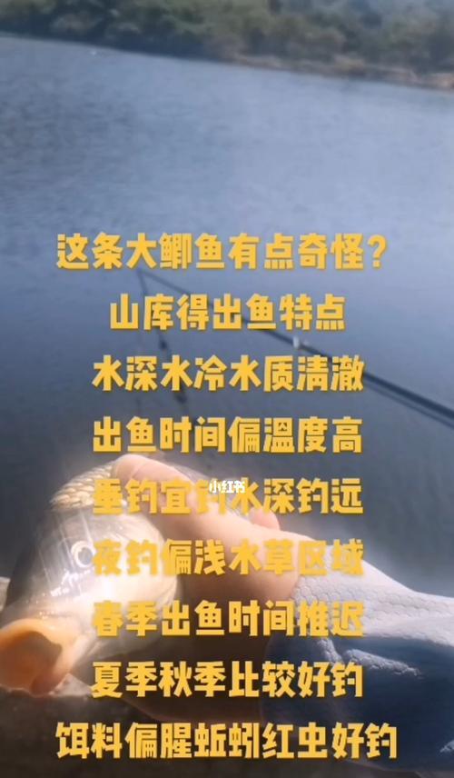 北方18度钓鱼技巧有哪些？如何提高钓鱼成功率？  第2张