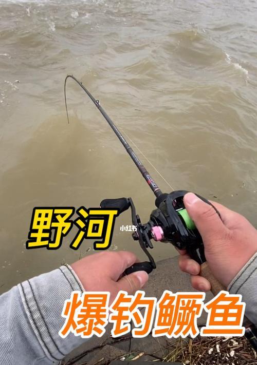 北方五月野河钓鱼技巧有哪些？如何提高钓鱼成功率？  第1张