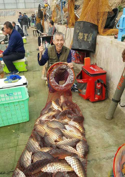 北方大棚钓鱼技巧有哪些？如何应对大棚钓鱼常见问题？  第1张