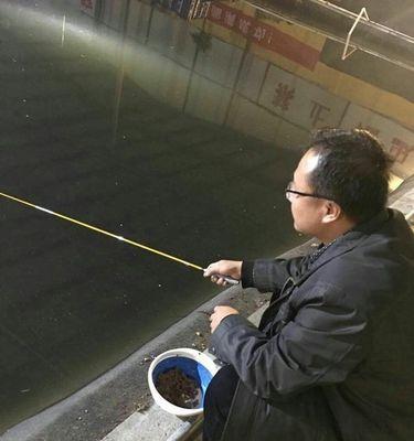 北方大棚钓鱼技巧有哪些？如何应对大棚钓鱼常见问题？  第3张