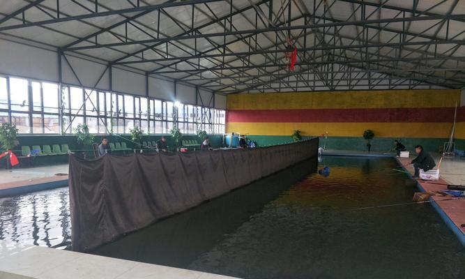 北方大棚钓鱼技巧教程？如何在大棚中成功钓到鱼？  第2张