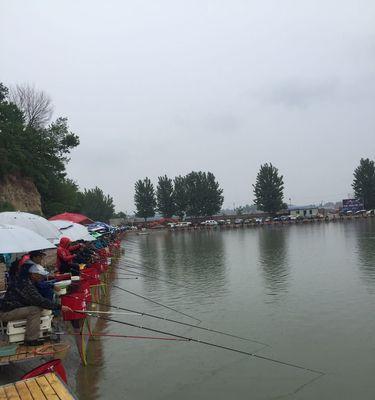 北方黑坑垂钓技巧有哪些？如何提高钓获率？  第1张