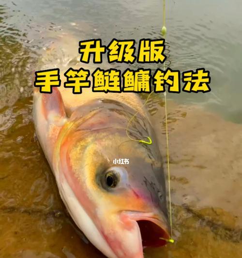 北方秋冬季钓鱼技巧和方法是什么？如何提高钓鱼成功率？  第2张