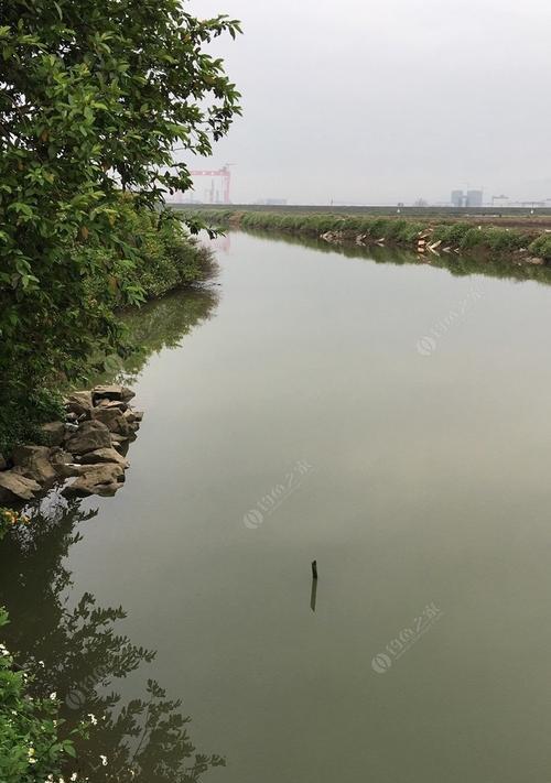 北方五月天冷钓鱼技巧有哪些？如何应对低温天气提高钓鱼成功率？  第2张