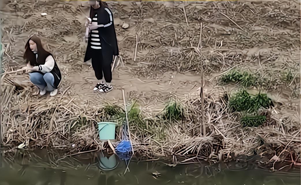 北方水沟钓鱼技巧有哪些？如何提高钓鱼成功率？  第1张